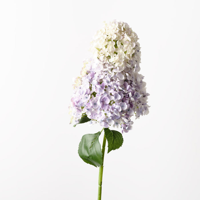 Hydrangea Cone Lavender 104cm - Pack of 6