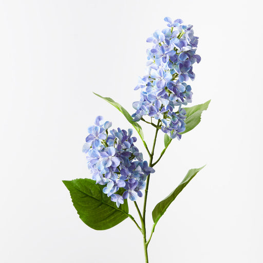 Hydrangea Cone Spray Blue 77cm - Pack of 12