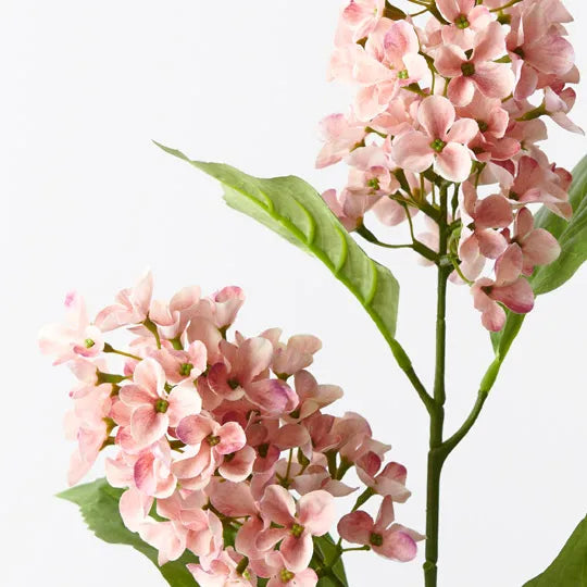 Hydrangea Cone Spray Coral 77cm - Pack of 12