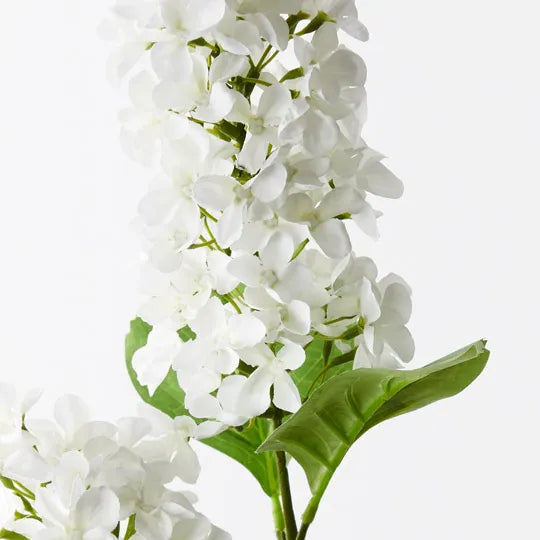 Hydrangea Cone Spray White 77cm - Pack of 12