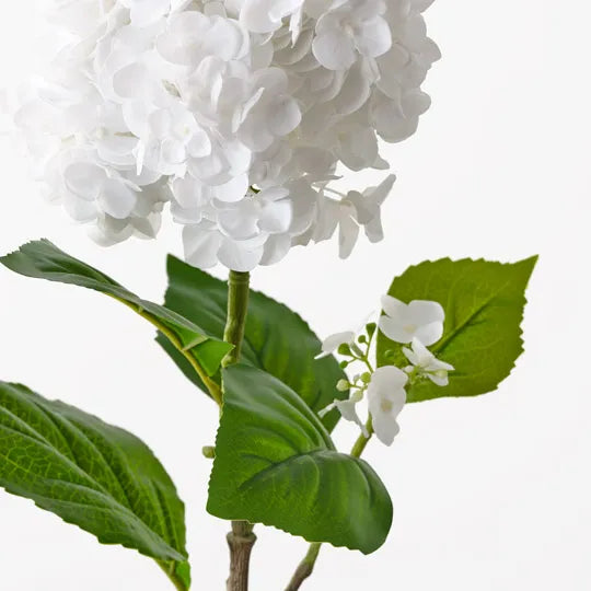 Hydrangea Cone Spray White 84cm - Pack of 6