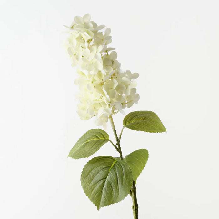 Hydrangea Cone Stem Light Green, 74cm Pack of 12