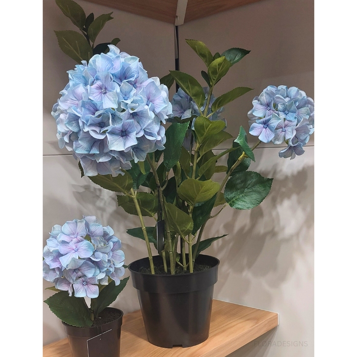 Hydrangea Plant French Blue 69cm Set of 2