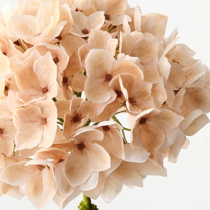 Hydrangea Ivory 47cm Set of 12