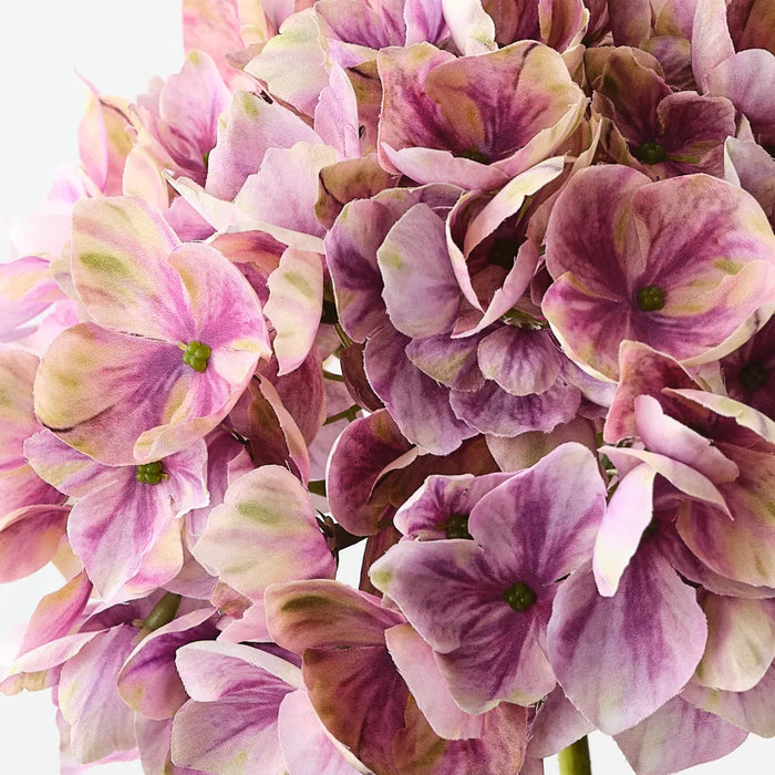 Hydrangea Mauve Green 47cm Set of 12