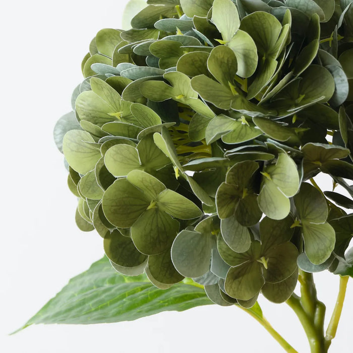 Hydrangea Moss Green 49cm Pack of 12