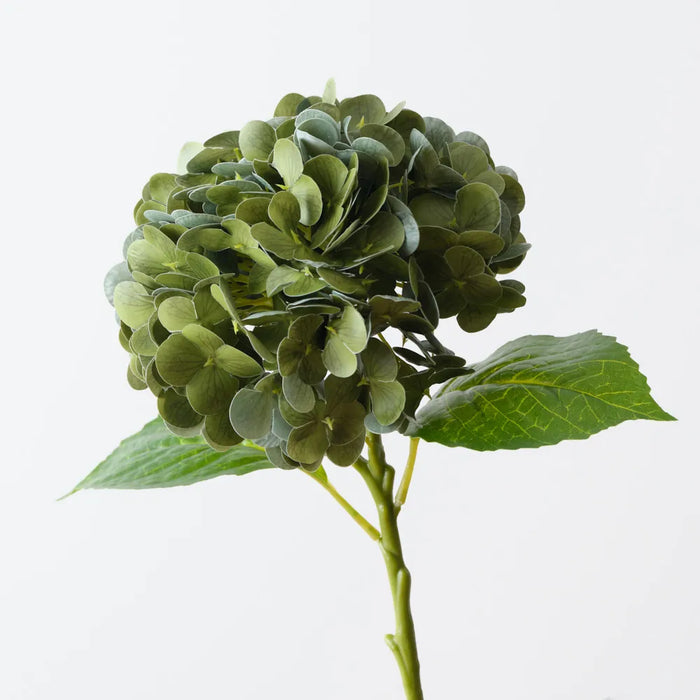Hydrangea Moss Green 49cm Pack of 12