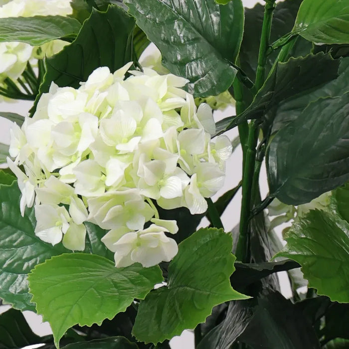 Hydrangea Plant White UV Resistant 90cm