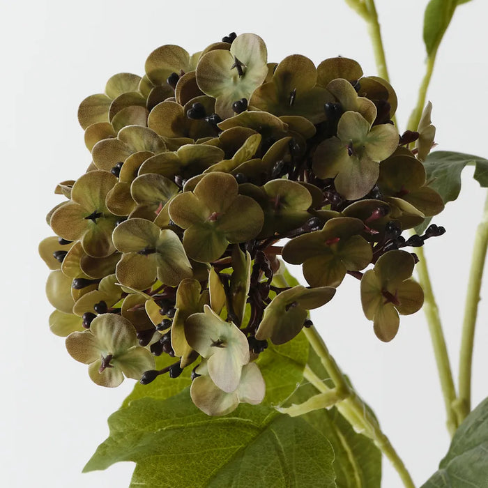 Hydrangea Spray Olive Green, 68cm Pack of 12