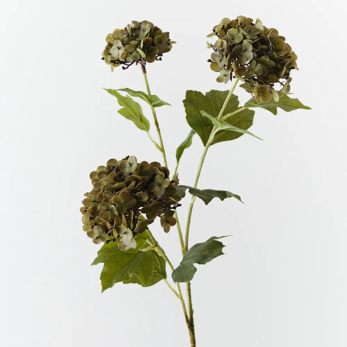 Hydrangea Spray Olive Green, 68cm Pack of 12