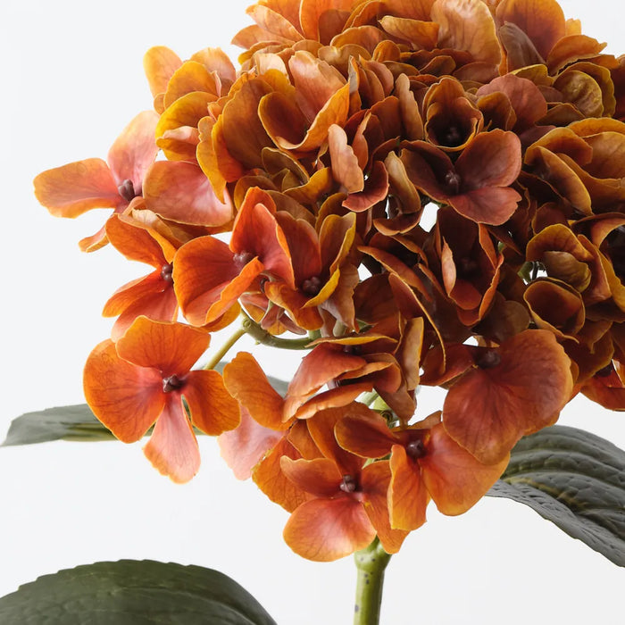 Hydrangea Stem Burnt Orange, 66cm Pack of 12