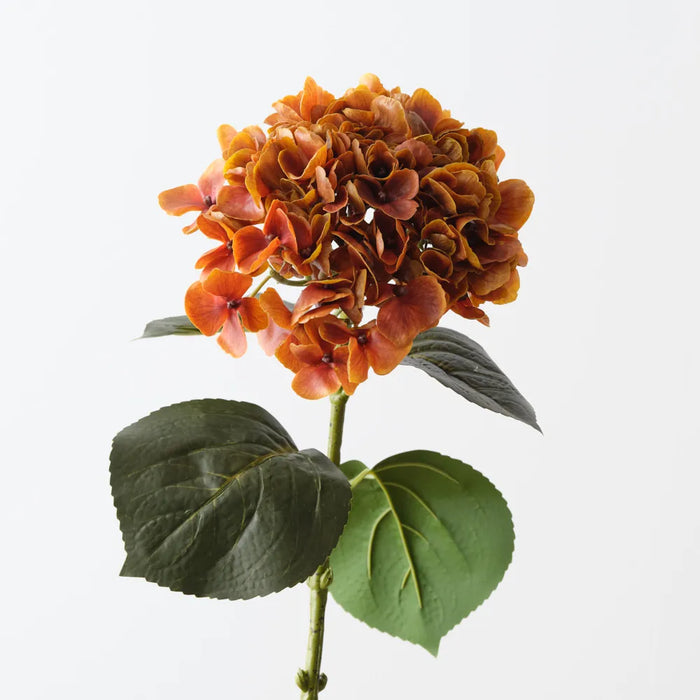 Hydrangea Stem Burnt Orange, 66cm Pack of 12