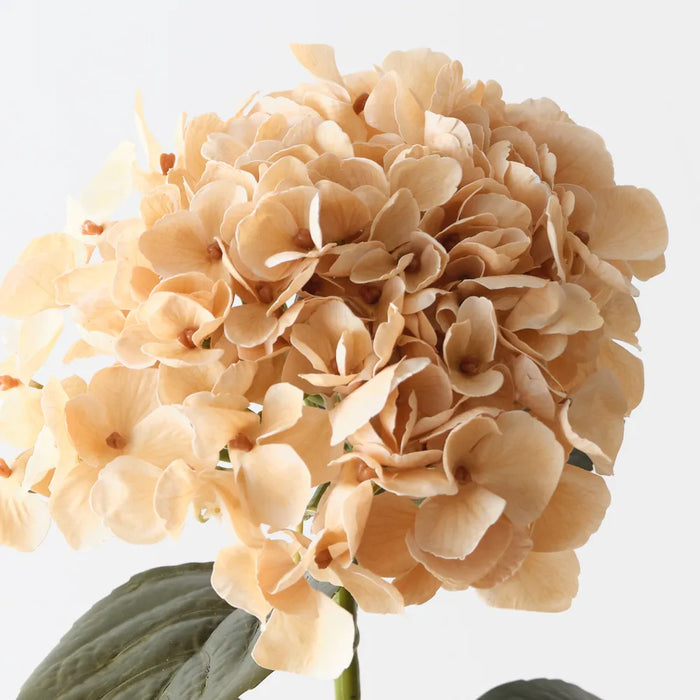 Hydrangea Stem Butter Orange, 66cm Pack of 12