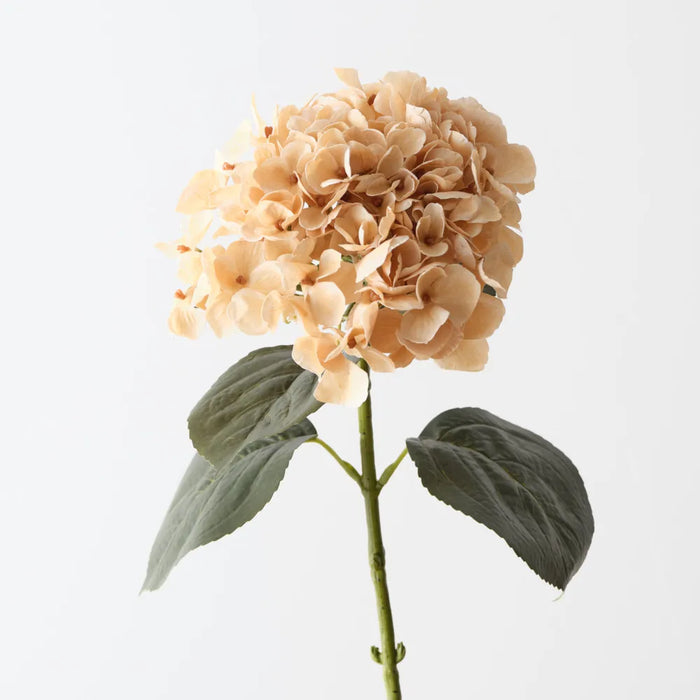 Hydrangea Stem Butter Orange, 66cm Pack of 12