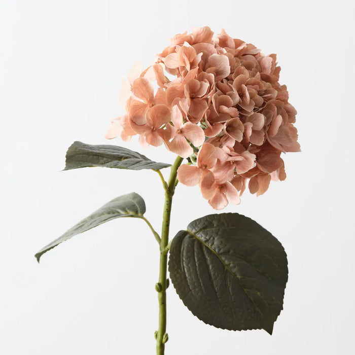 Hydrangea Stem Coffee Cream, 66cm Pack of 12