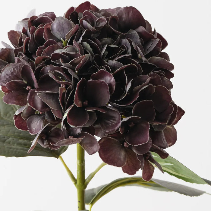 Hydrangea Stem Eggplant Green, 66cm Pack of 12