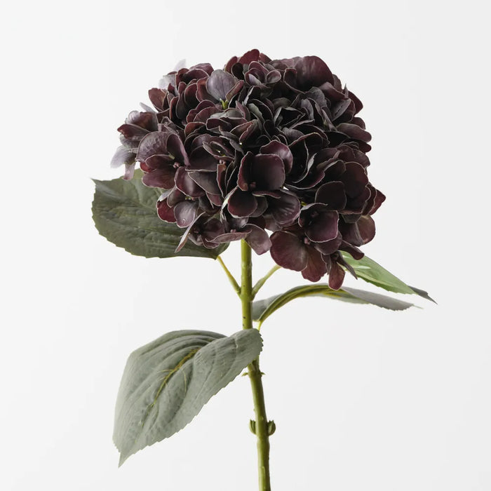 Hydrangea Stem Eggplant Green, 66cm Pack of 12