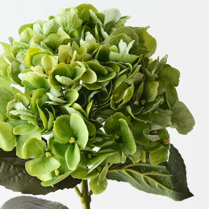 Hydrangea Stem Green, 66cm Pack of 12