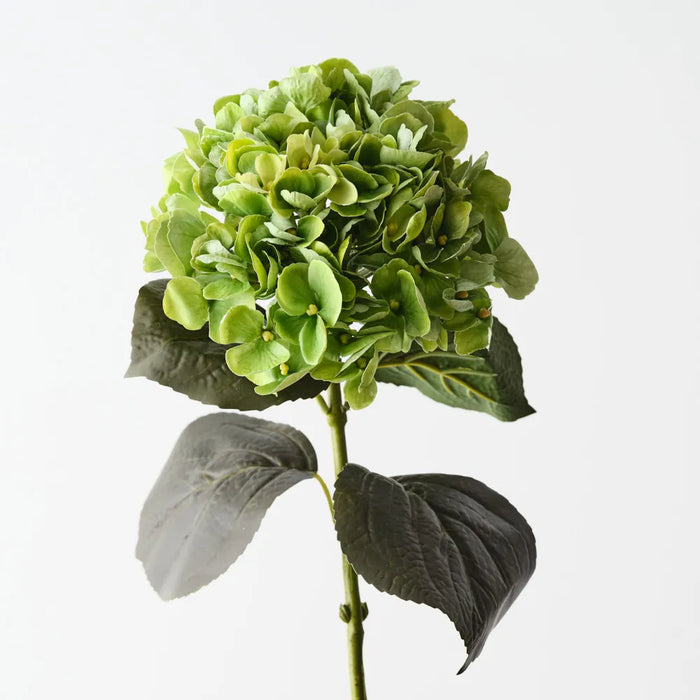 Hydrangea Stem Green, 66cm Pack of 12