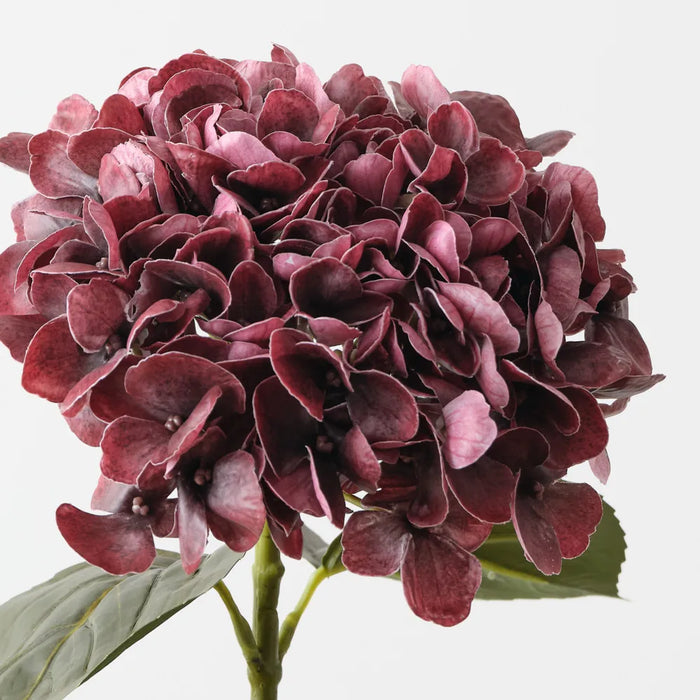 Hydrangea Stem Burgundy, 66cm Pack of 12