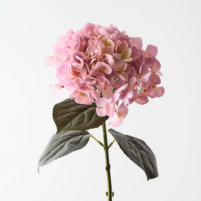 Hydrangea Stem Light Pink Cream, 66cm Pack of 12