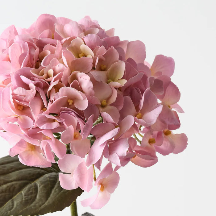 Hydrangea Stem Light Pink Cream, 66cm Pack of 12