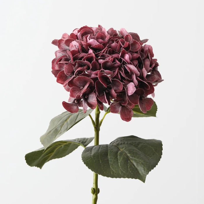 Hydrangea Stem Burgundy, 66cm Pack of 12