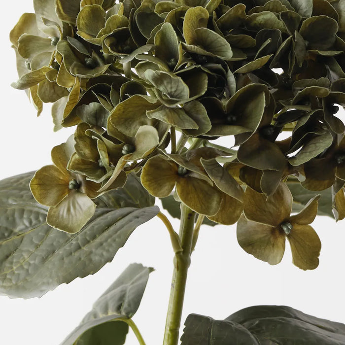 Hydrangea Stem Olive Green, 66cm Pack of 12
