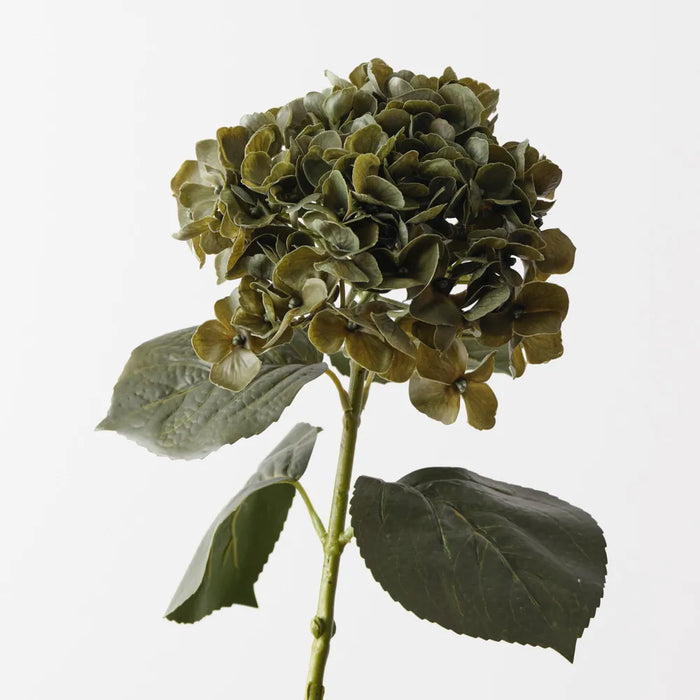 Hydrangea Stem Olive Green, 66cm Pack of 12