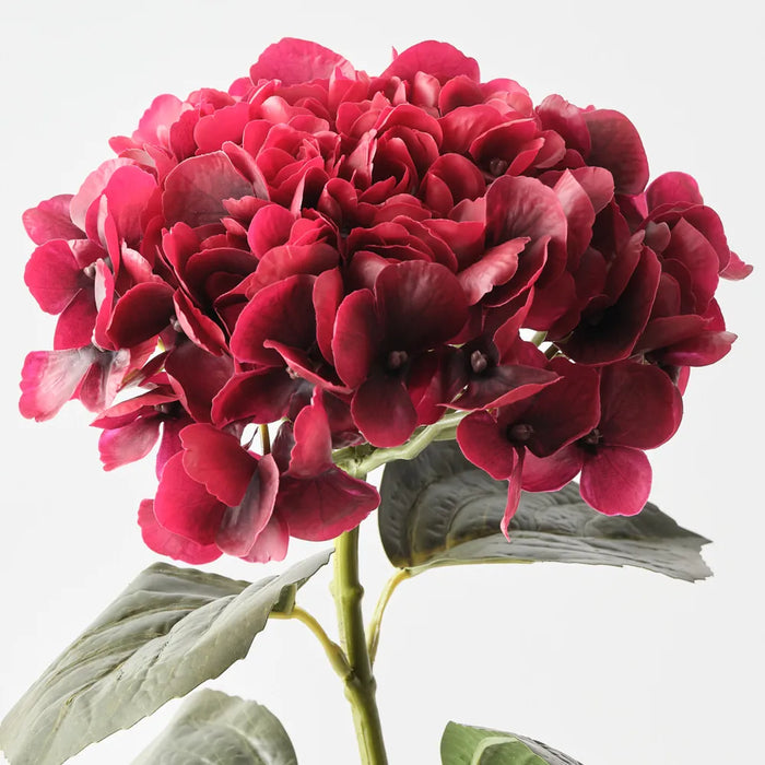 Hydrangea Stem Red, 66cm Pack of 12