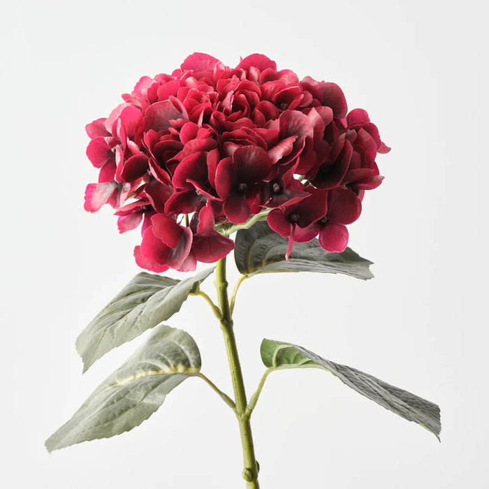 Hydrangea Stem Red, 66cm Pack of 12