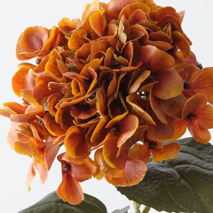 Hydrangea Stem Small Burnt Orange, 66cm Pack of 12