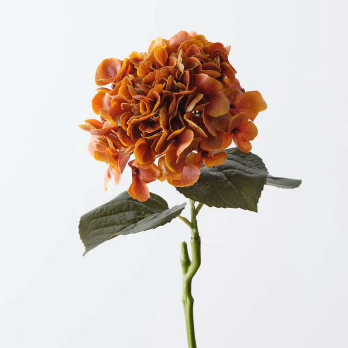 Hydrangea Stem Small Burnt Orange, 66cm Pack of 12