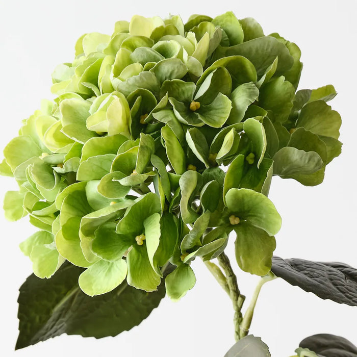 Hydrangea Stem Small Green, 66cm Pack of 12