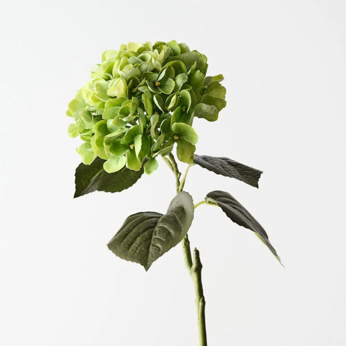 Hydrangea Stem Small Green, 66cm Pack of 12
