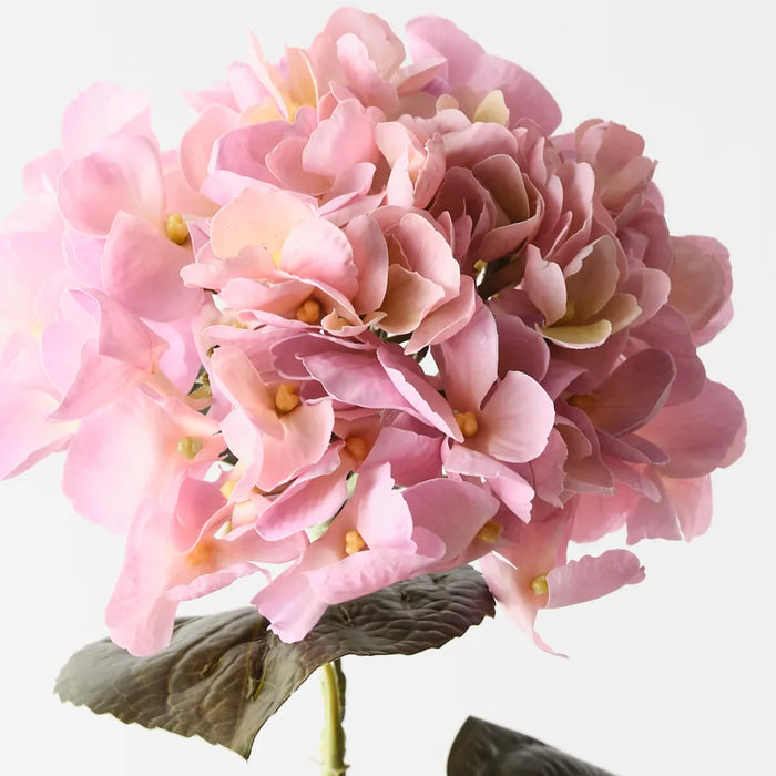 Hydrangea Stem Small Light Pink Cream, 66cm Pack of 12