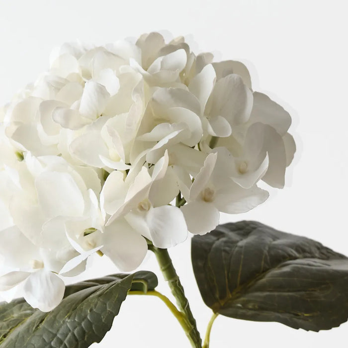 Hydrangea Stem Small Winter White, 66cm Pack of 12