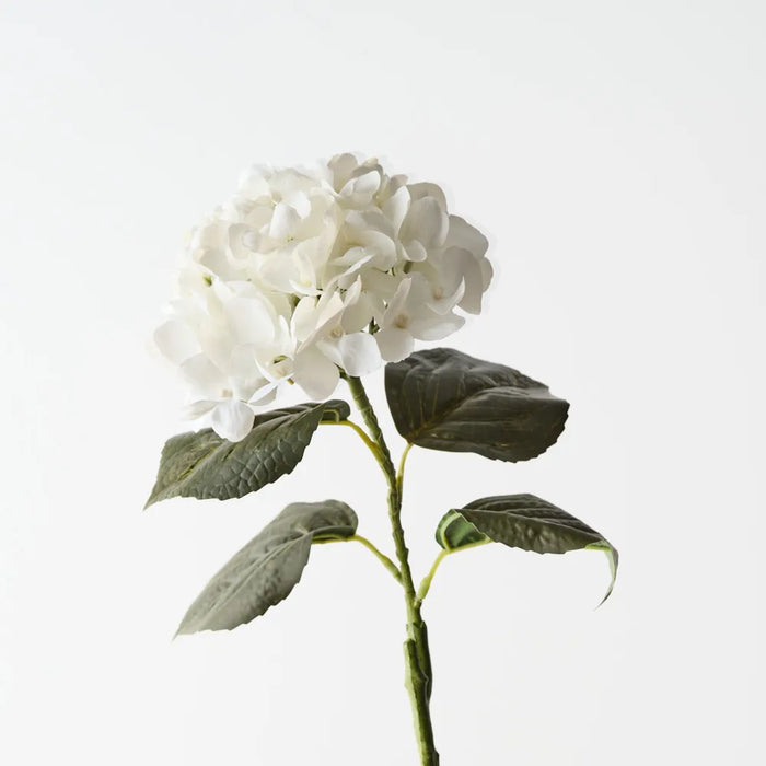 Hydrangea Stem Small Winter White, 66cm Pack of 12
