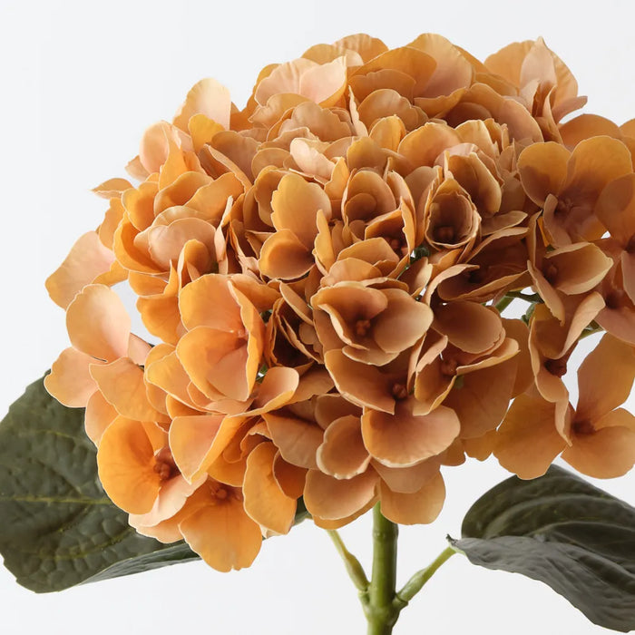 Hydrangea Stem Toffee Orange, 66cm Pack of 12