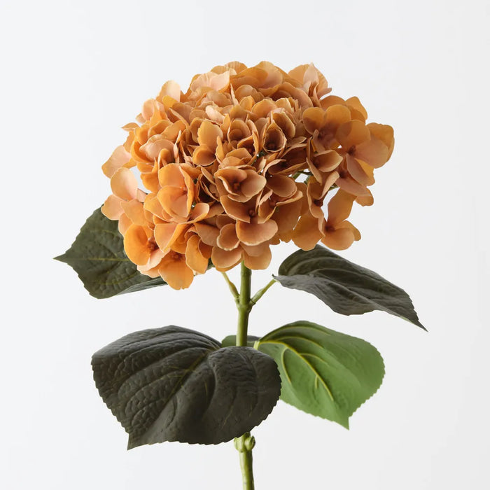 Hydrangea Stem Toffee Orange, 66cm Pack of 12