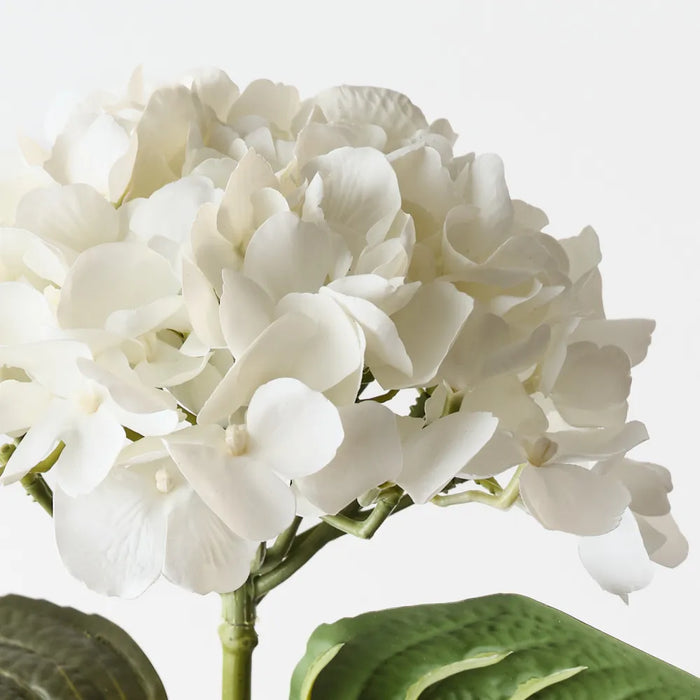 Hydrangea Stem Winter White, 66cm Pack of 12