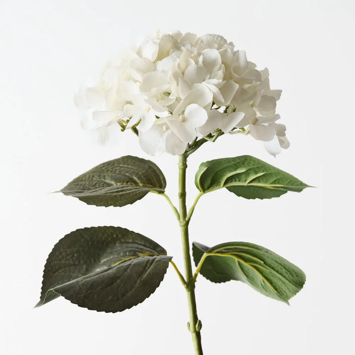 Hydrangea Stem Winter White, 66cm Pack of 12