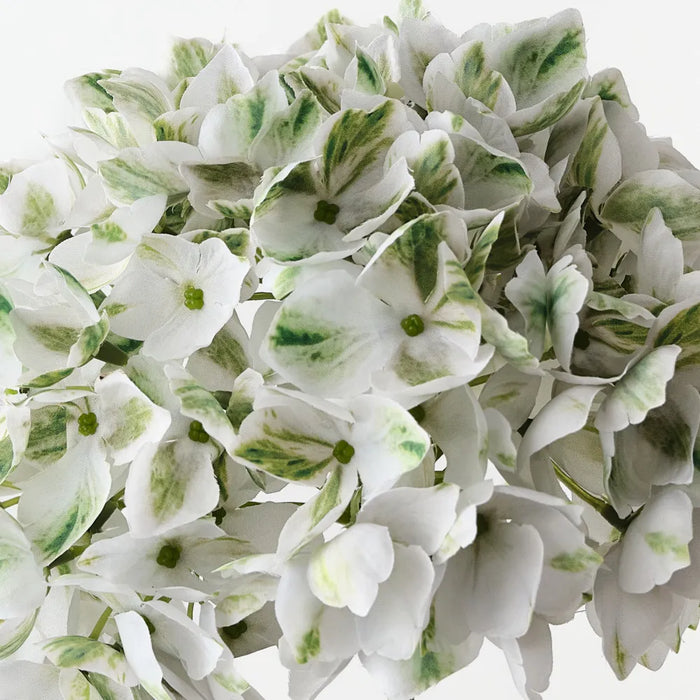 Hydrangea White Green 47cm Set of 12
