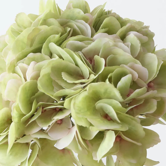 Hydrangea Without Leaf 63cm Green, Pack of 6