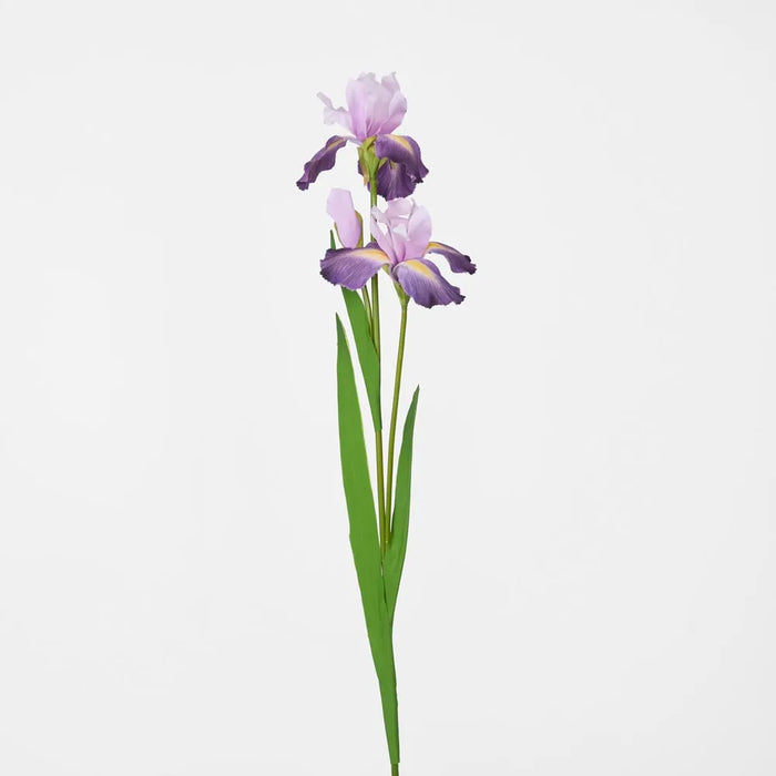 Iris Stem Dark Lilac 77cm Pack of 12