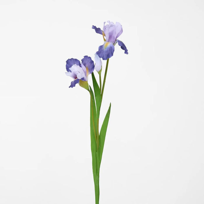 Iris Stem Purple 77cm Pack of 12