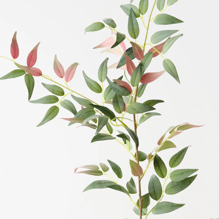 Italian Ruscus Spray 125cm Pink Green - Pack of 12