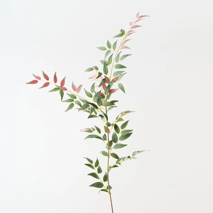 Italian Ruscus Spray 125cm Pink Green - Pack of 12