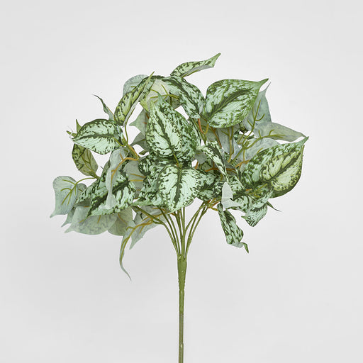 Artificial Scindapsus Bush 42Cm 42cm Green - FLORA DESIGNS