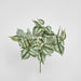Artificial Scindapsus Bush 42Cm 42cm Green - FLORA DESIGNS